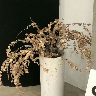 兽设草原场景绘制兽圈社群